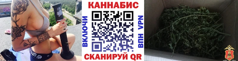 Шишки марихуана THC 21%  Купить где  Михайлов 